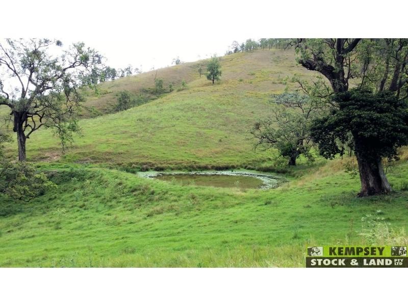 Lower Creek NSW 2440