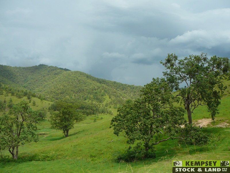 Lower Creek NSW 2440