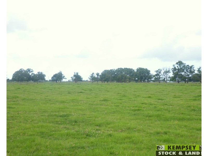 Bellimbopinni NSW 2440