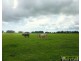 Bellimbopinni NSW 2440