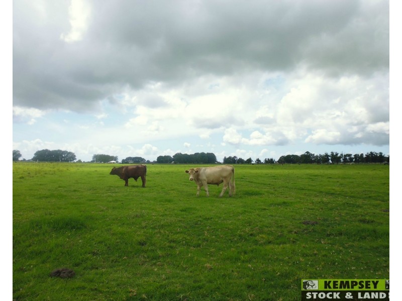 Bellimbopinni NSW 2440