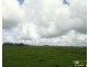Bellimbopinni NSW 2440