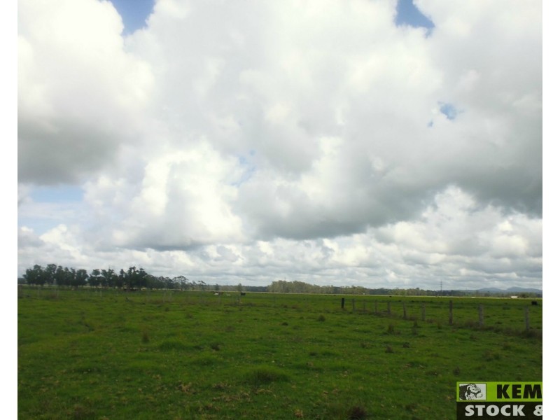 Bellimbopinni NSW 2440