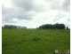 Bellimbopinni NSW 2440