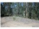 Mungay Creek NSW 2440