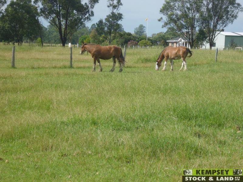 Skillion Flat NSW 2440