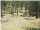 Deep Creek NSW 2440