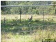 Deep Creek NSW 2440