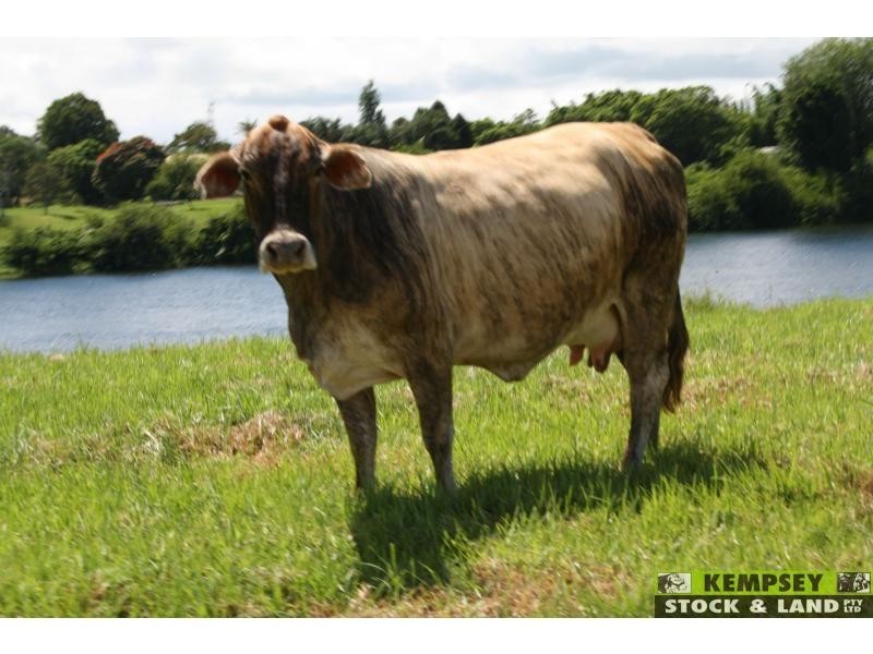 L44 & 45 Euroka Road, Euroka NSW 2440