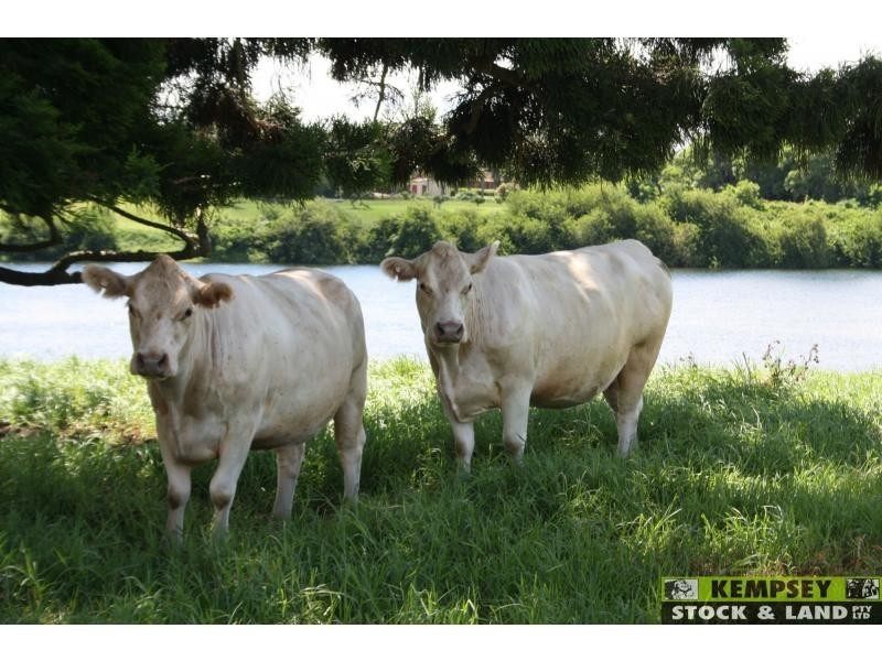 L44 & 45 Euroka Road, Euroka NSW 2440