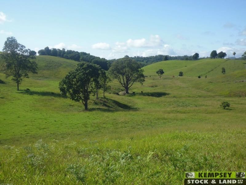 Argents Hill NSW 2449