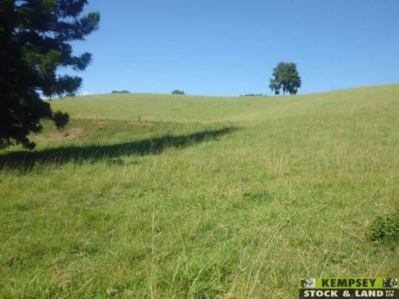 Argents Hill NSW 2449