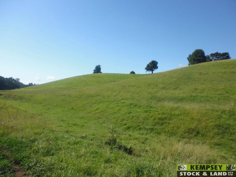 Argents Hill NSW 2449