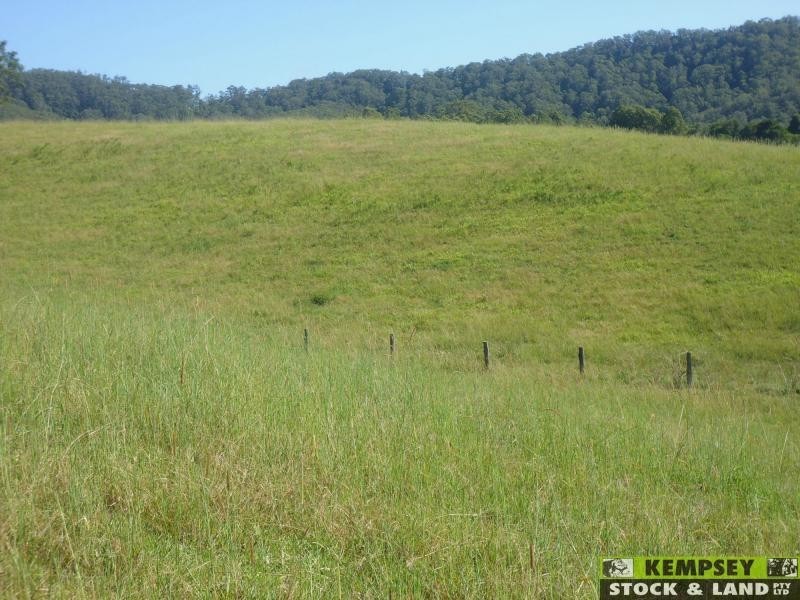 Argents Hill NSW 2449