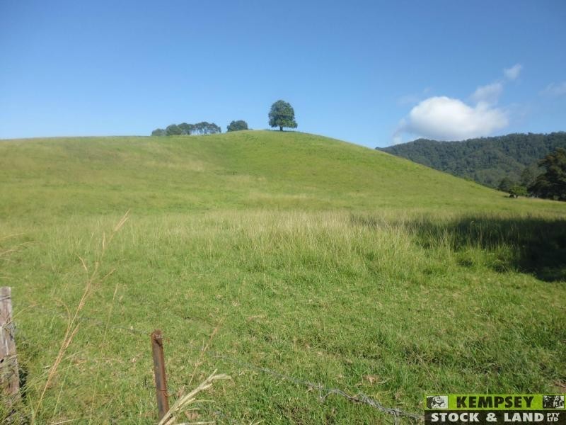 Argents Hill NSW 2449