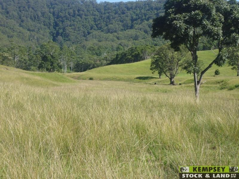 Argents Hill NSW 2449