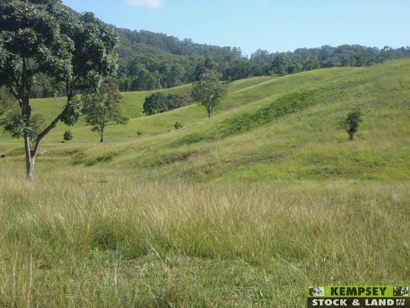 Argents Hill NSW 2449