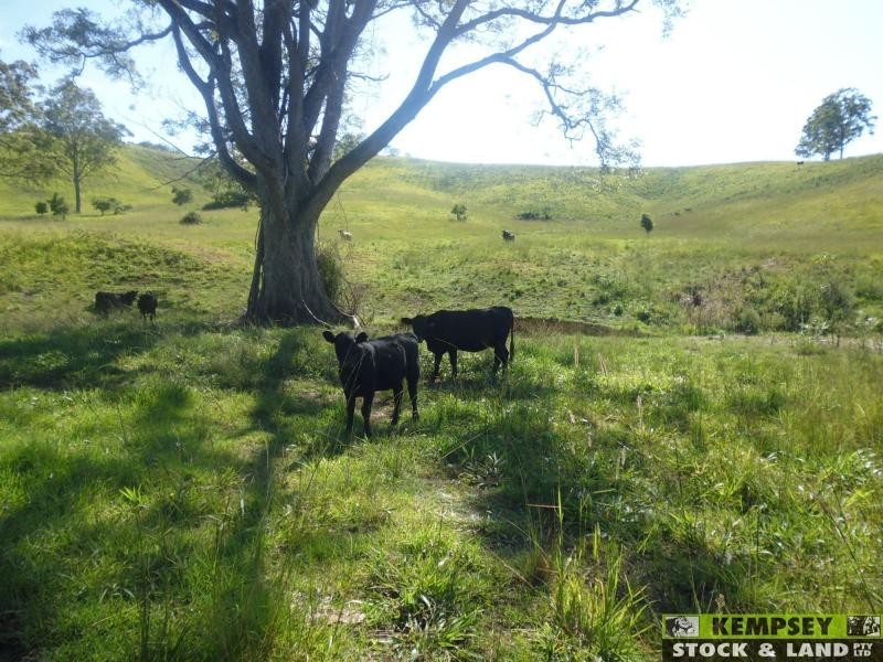 Argents Hill NSW 2449