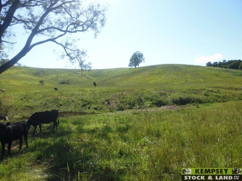 Argents Hill NSW 2449