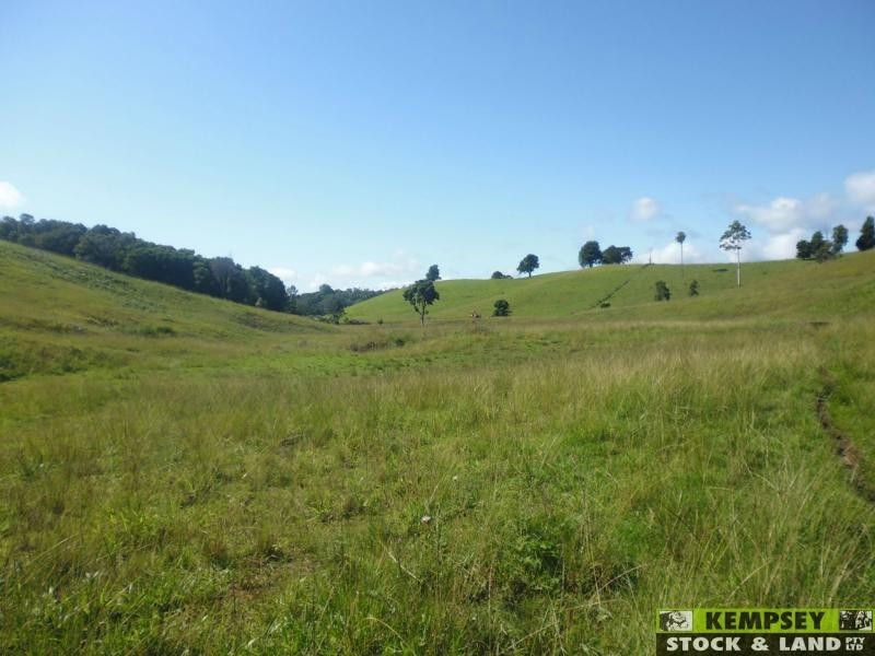 Argents Hill NSW 2449