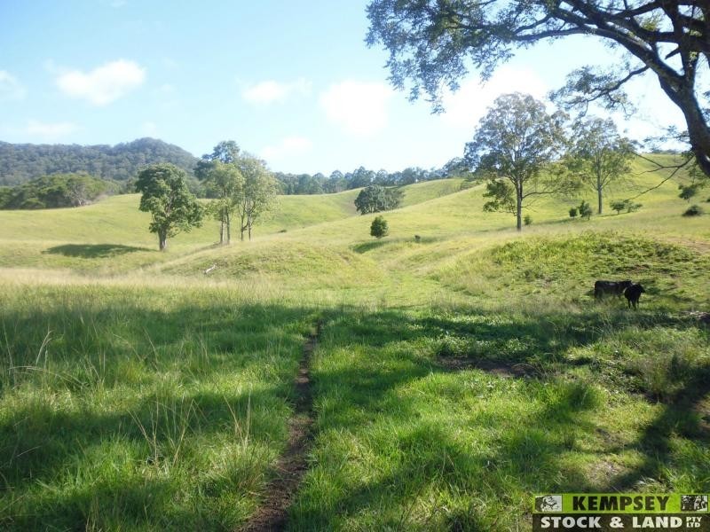 Argents Hill NSW 2449