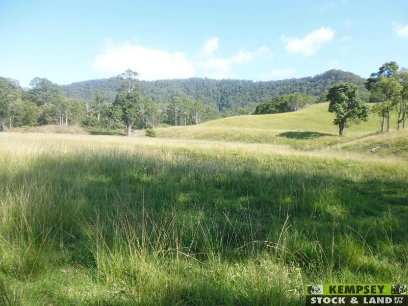 Argents Hill NSW 2449