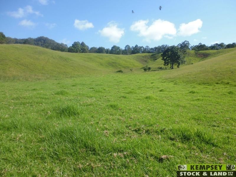 Argents Hill NSW 2449