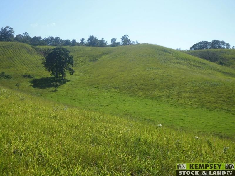 Argents Hill NSW 2449