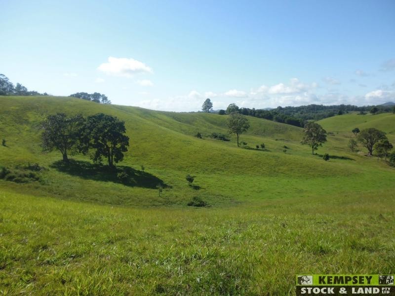 Argents Hill NSW 2449