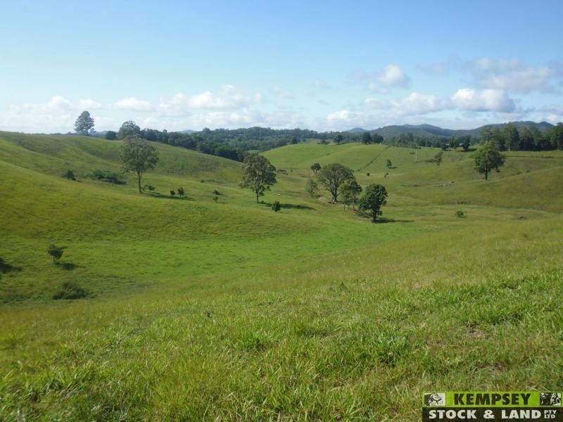 Argents Hill NSW 2449