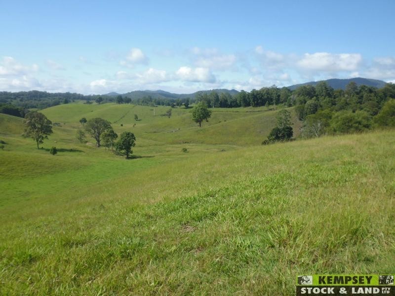 Argents Hill NSW 2449