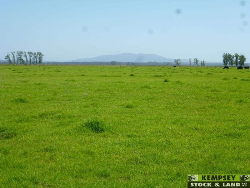 Bellimbopinni NSW 2440