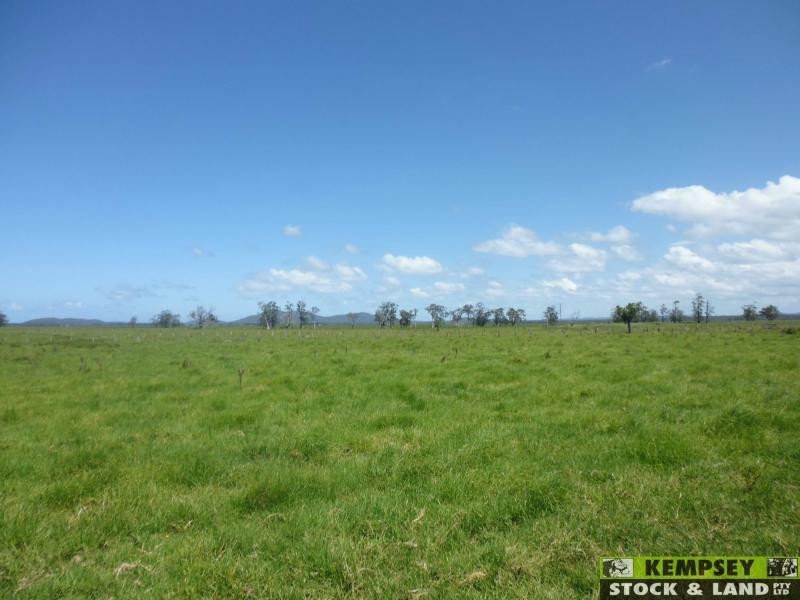660 Left Bank Road, Belmore River NSW 2440