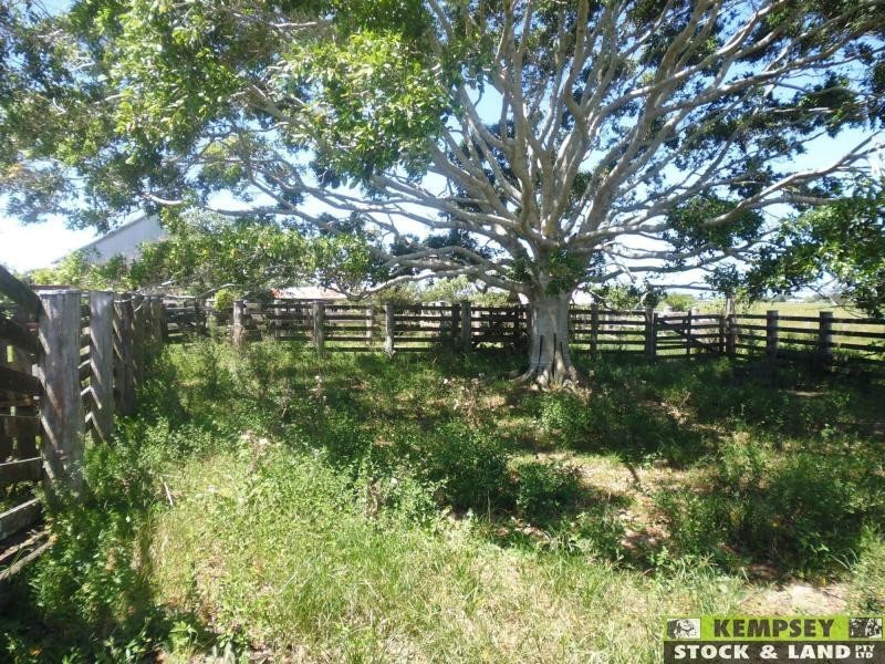 660 Left Bank Road, Belmore River NSW 2440
