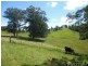 Millbank NSW 2440
