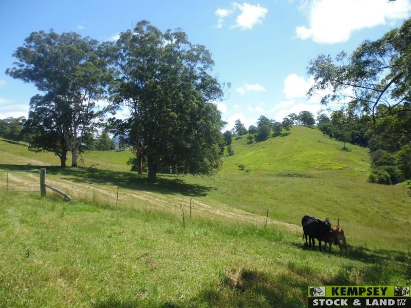 Millbank NSW 2440