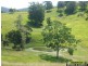 Millbank NSW 2440