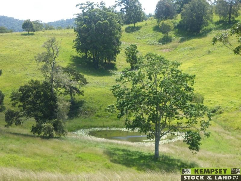 Millbank NSW 2440