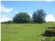 Millbank NSW 2440