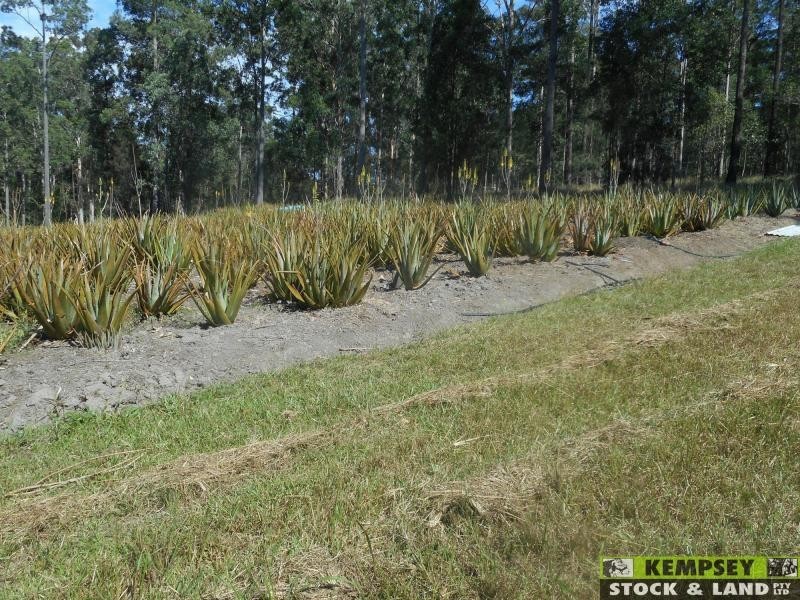 Collombatti NSW 2440