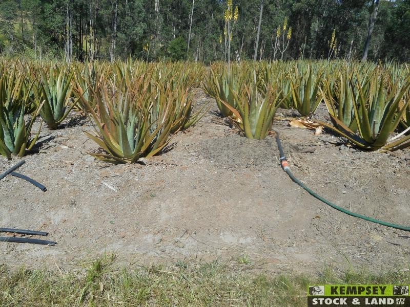 Collombatti NSW 2440