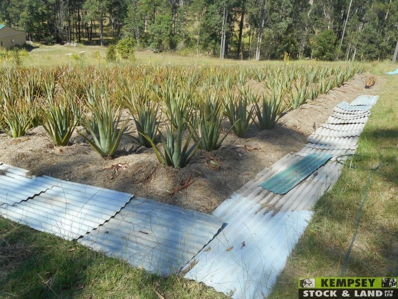 Collombatti NSW 2440