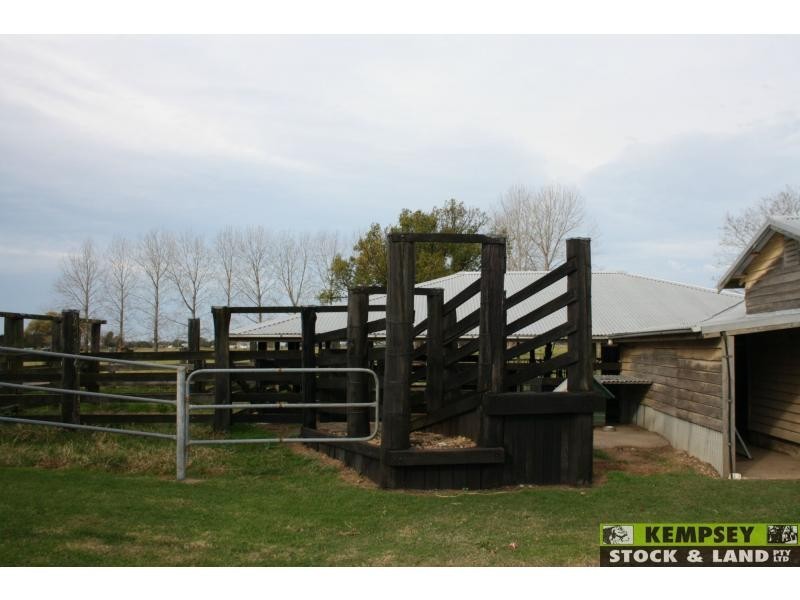 Bellimbopinni NSW 2440