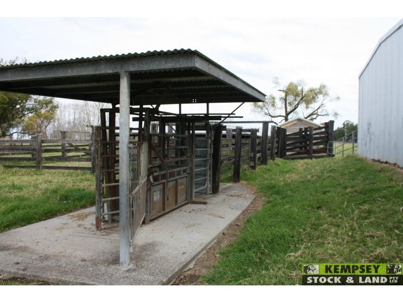 Bellimbopinni NSW 2440