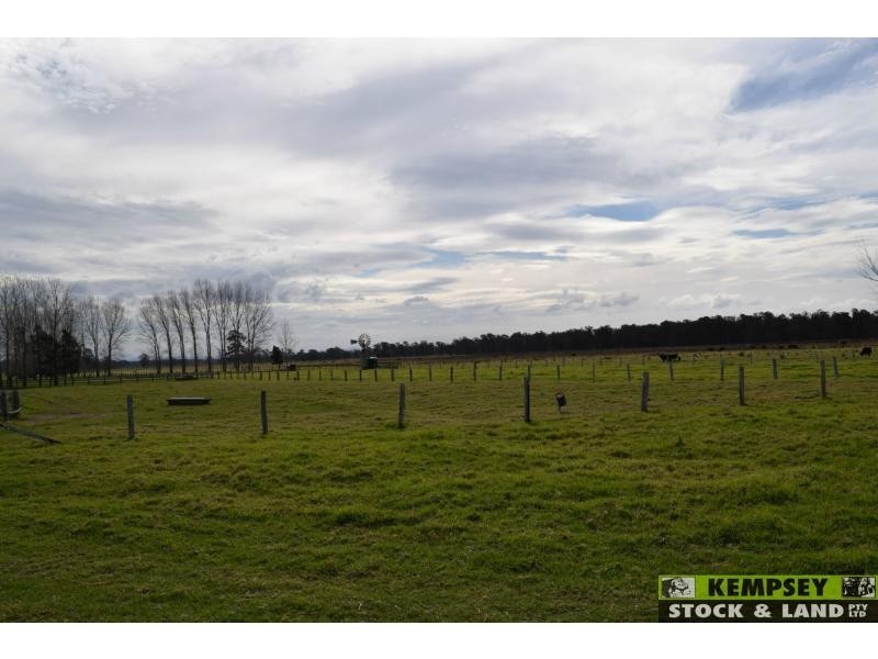 479 Plummers Lane, Rainbow Reach NSW 2440