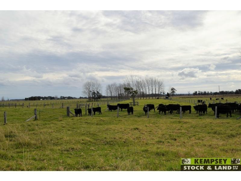 479 Plummers Lane, Rainbow Reach NSW 2440