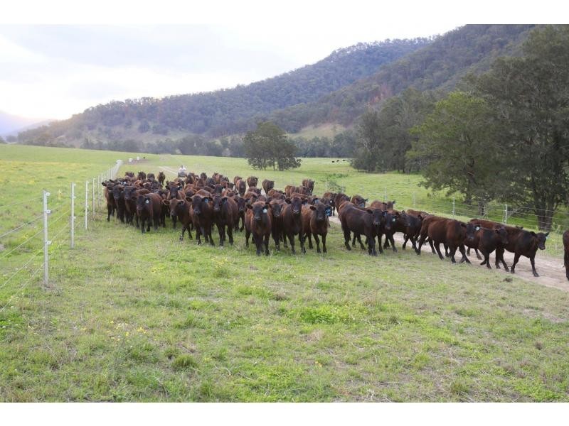 Towal Creek Station – Toose Road, Comara NSW 2440