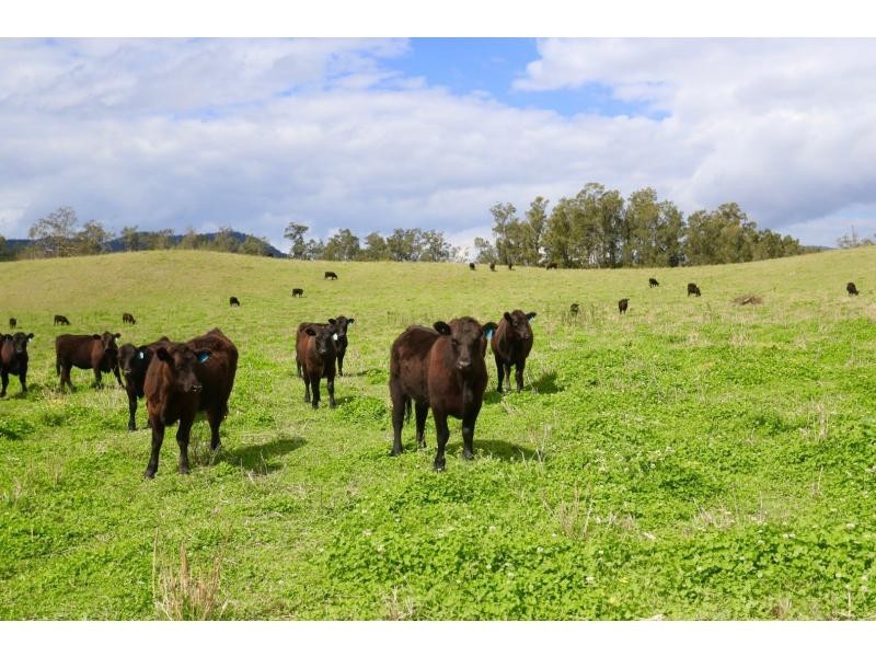 Towal Creek Station – Toose Road, Comara NSW 2440