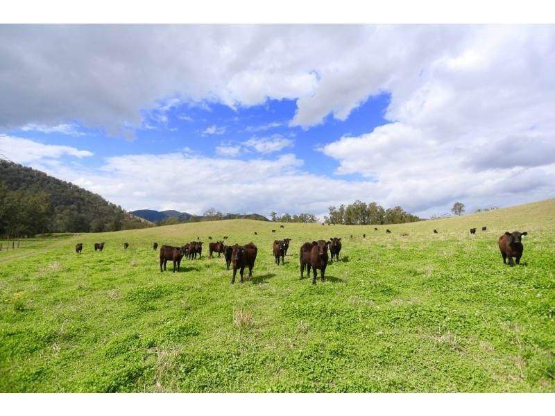 Towal Creek Station – Toose Road, Comara NSW 2440