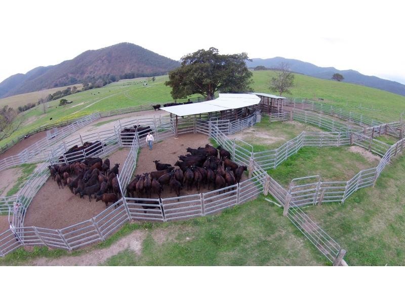 Towal Creek Station – Toose Road, Comara NSW 2440